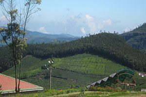 Doddabetta Resort Ooty Eksteriør billede
